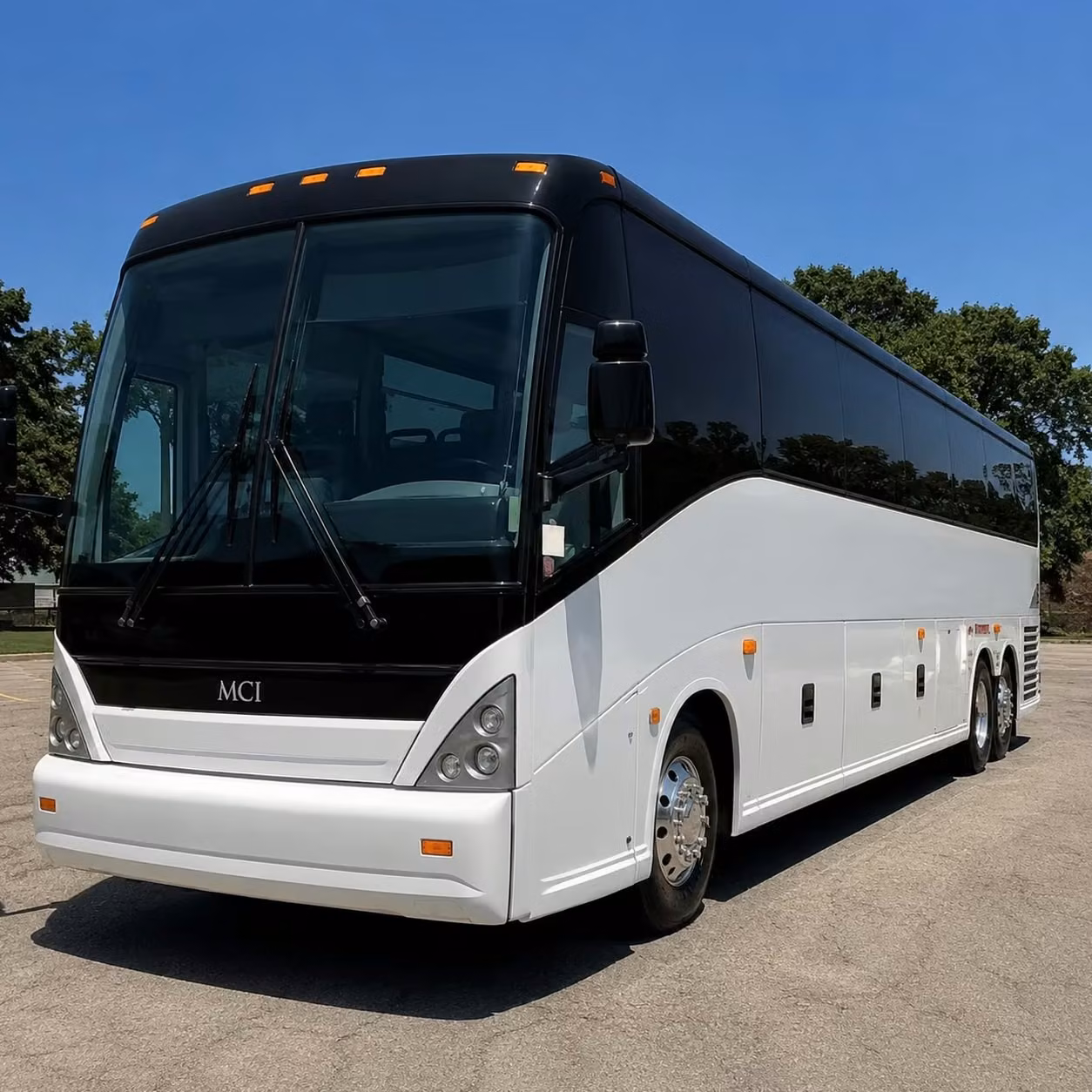 palm coast long distance transportation services